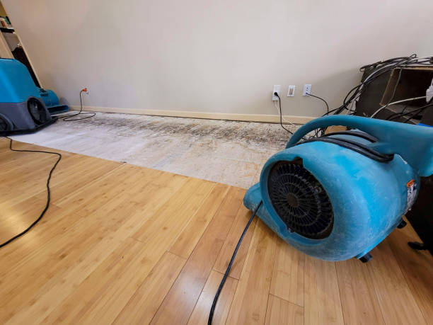 Professional Ceiling Water Damage Repair technician working in Waterloo, IL